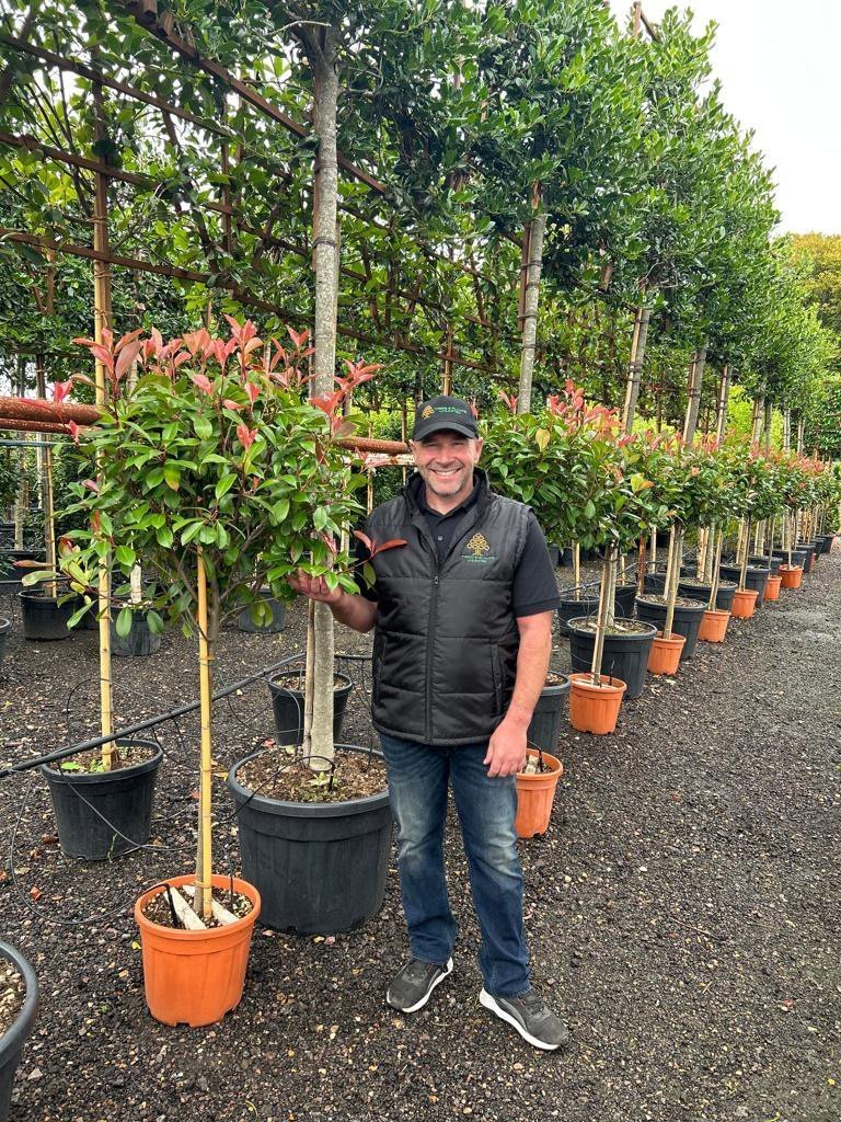 Our guide to outdoor plants in the UK